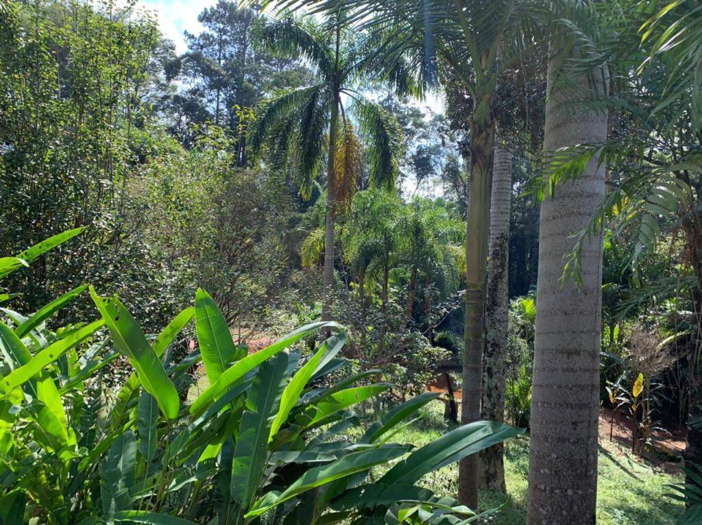 Terreno, 4300 m² - Foto 6