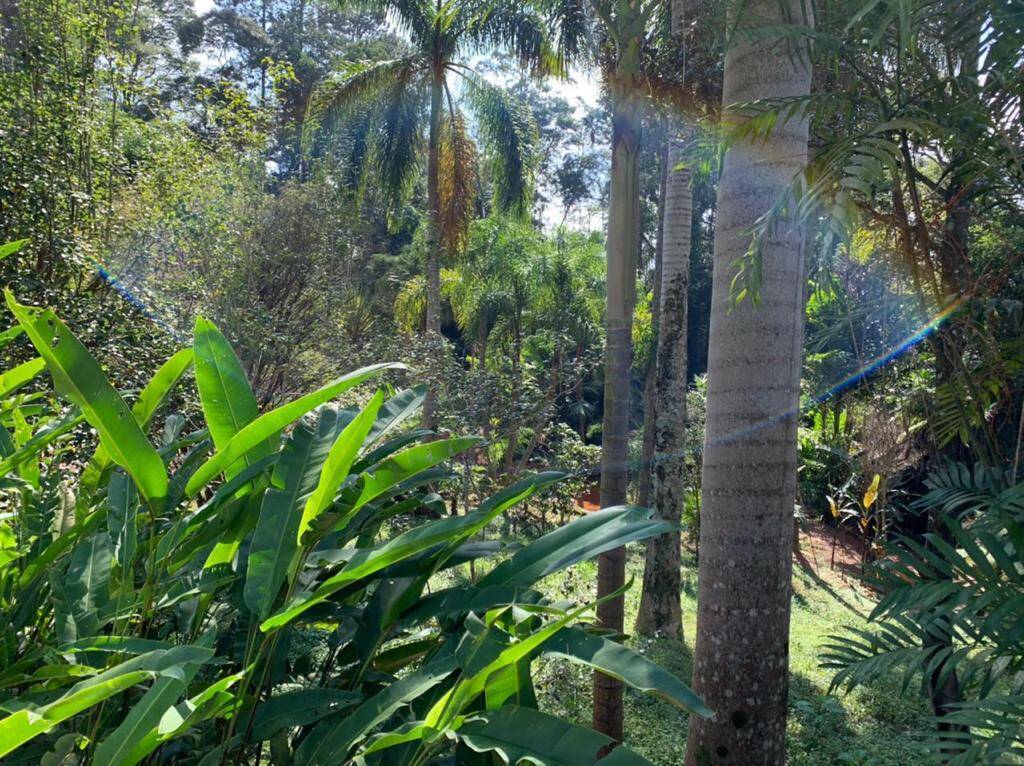 Terreno, 4300 m² - Foto 7