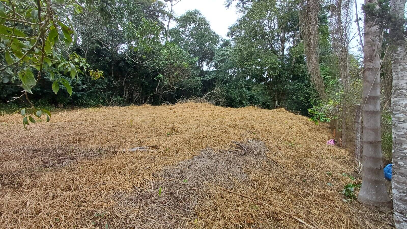 Terreno, 1800 m² - Foto 4