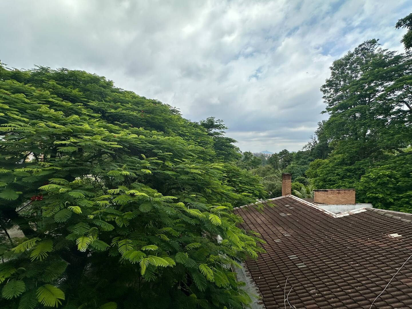 Conjunto Comercial-Sala à venda e aluguel - Foto 4