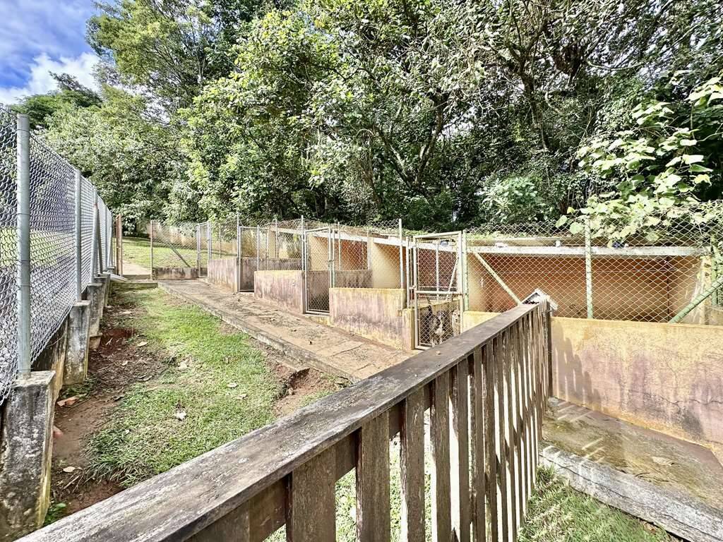 Casa, 3 quartos, 233 m² - Foto 4