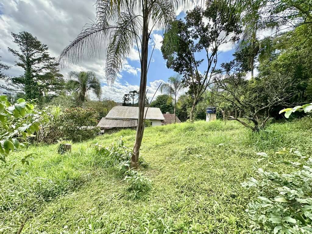 Casa, 3 quartos, 233 m² - Foto 8