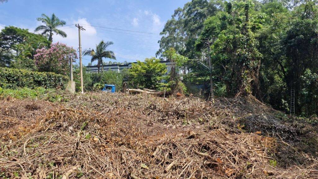 Terreno, 1403 m² - Foto 5