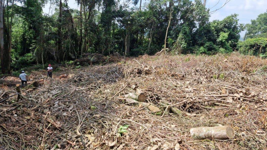 Terreno, 1403 m² - Foto 6