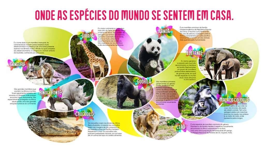 Casa, 271 m² - Foto 53