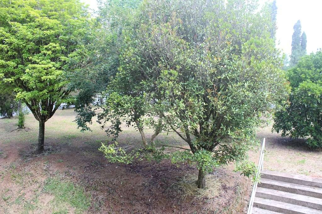 Depósito-Galpão, 505 m² - Foto 42