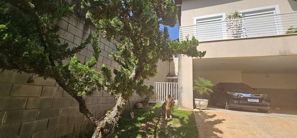 Casa, 3 quartos, 358 m² - Foto 6