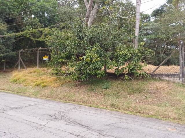 #293 - Área para Venda em Cotia - SP