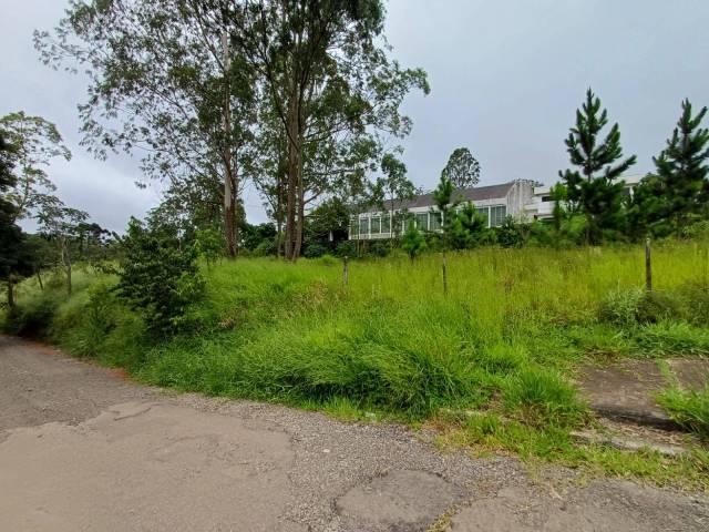 Área para Venda em Vargem Grande Paulista - 4
