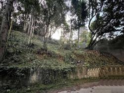 Terreno em Rua Fechada para Venda em Carapicuíba - 4